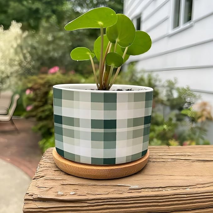 Sage Green Buffalo Plaid Ceramic Planter Green Buffalo Check Snake Plant Live Indoor with Pot with Drainage Holes and Saucers Pot for Indoor Outdoor Garden