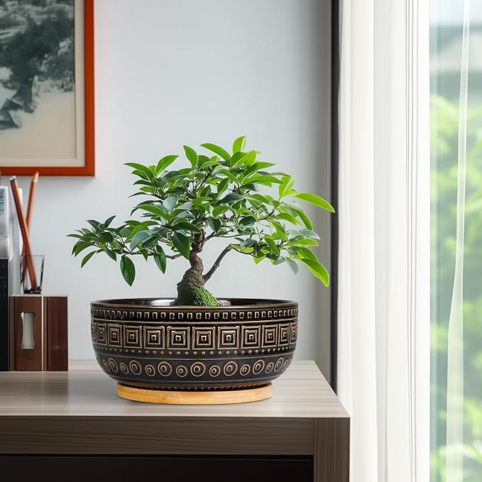 G EPGardening Bonsai Planter - 8 Inch Ceramic Succulent Pots with Drainage and Plant Saucer, Round Shallow Planter Bowl for Indoor Plants Flower, Boho Garden House Decor, Plant Lovers Gifts, Black
