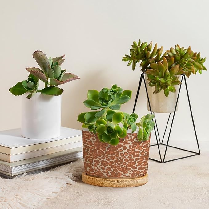 Leopard Orange Light Brown Dot Ceramic Planter African Tribal Animal Print Planters for Indoor Plants with Drainage Holes and Saucers Pot for Home Office Decoration