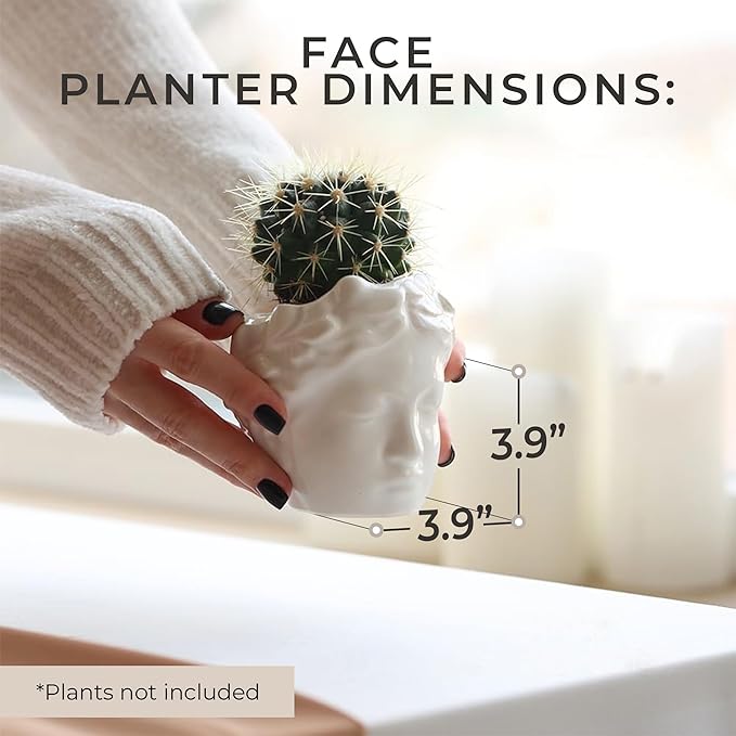 Small Head Planter - Ceramic Face Planter Pots for Indoor Plants, Cute Funny Succulent Pot with Drainage Hole, Unique Gift, 3.9"