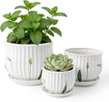 Plant Pots for Indoor Plants Set of 3, 4+5.3+6.7 Inch Ceramic Plant Pots with Drainage Hole，Cute Garden Pots Succulent Pots with Saucer