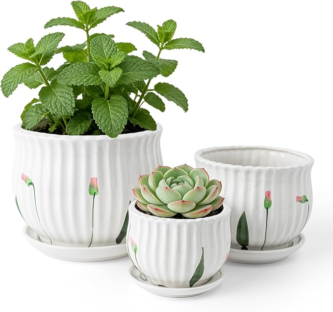Plant Pots for Indoor Plants Set of 3, 4+5.3+6.7 Inch Ceramic Plant Pots with Drainage Hole，Cute Garden Pots Succulent Pots with Saucer