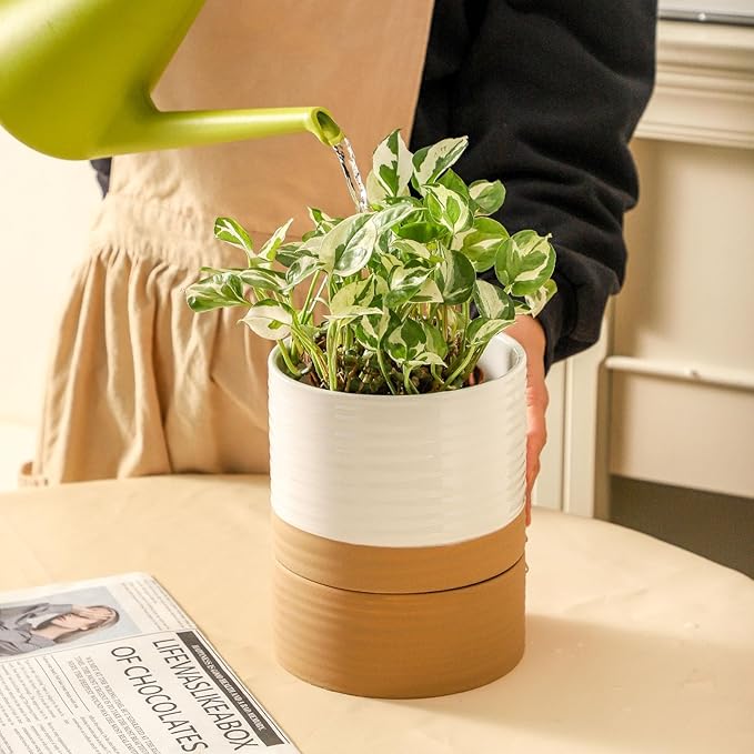 HASENSE Ceramic Plant Pots, 6 Inch Pot with Drainage Hole & Matching Saucer, Ideal for Indoor Succulents,Flower Pots for Decor,Succulent, Snake Plants, Cactus, Modern Decor Gift for Mom(White)
