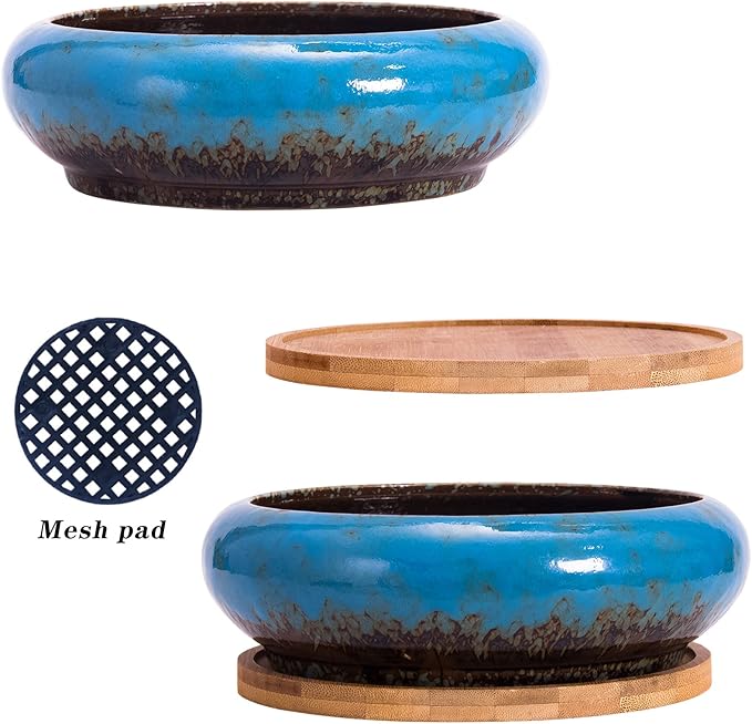 Succulent Pots - Large Succulent Planters with Drainage, 7.3 Inch Ceramic Bonsai Pots with Bamboo Tray Set of 2, Shallow Cactus Flower Planter Bowl for Indoor
