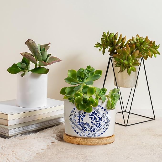 Chinese Style Blue And White Porcelain Print Ceramic Pots for Plants with Drainage Holes Round Flower Pot Bamboo Tray Orchid Pot Succulents Pots for Outdoor Indoor Plants,Housewarming Gifts