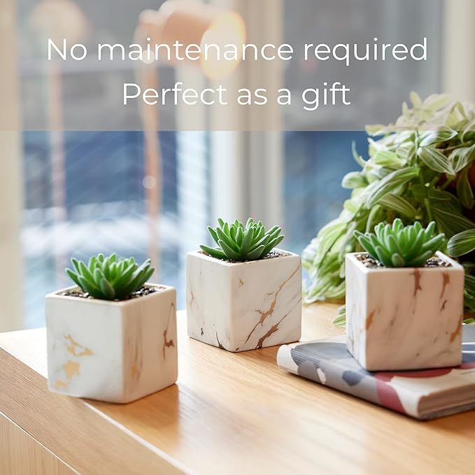 Nordik Square Marble Pots with Gold Vein Accents - Set of 3 - Modern Office and Home Decor - Lifelike Faux Plants - Artificial Desk Plants for Office and Bathroom - Mini Indoor Cactus