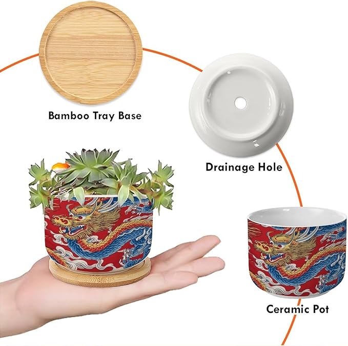 3 Piece Red and Auqa Dragon Small Succulents Plant Pot Oriental Chinoiserie Houseplant Pot for Cactus with Drainage Holes Chinoiserie Dragon Ceramics Planters for Indoor Plants
