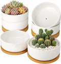 ZOUTOG Succulent Pots,6 Inch Succulent Planters with Drainage and Tray,White Ceramic Planters for Indoor Plants,Round Shallow Flower Plant Pots,Pack of 6