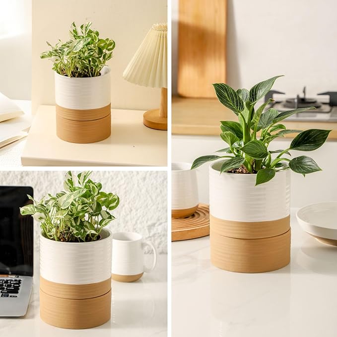 HASENSE Ceramic Plant Pots, 6 Inch Pot with Drainage Hole & Matching Saucer, Ideal for Indoor Succulents,Flower Pots for Decor,Succulent, Snake Plants, Cactus, Modern Decor Gift for Mom(White)