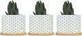 Blue Floral Ceramic Planters Mughal Flower Pots for Plants with Drainage Holes and Saucers Pot for Indoor Outdoor Garden