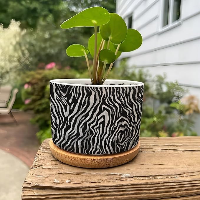 in Beige Ceramic Planters Black White Zebra Print Planters for Indoor Plants with Drainage Holes and Saucers Pot for Succulents Cactus Garden Windowsill