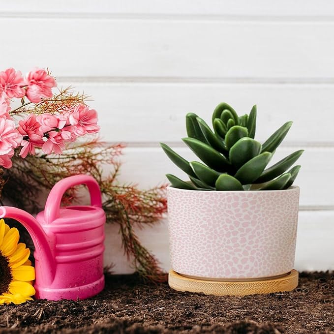 Pink Leopard Print Ceramic Planter African Animal Stripe Planters for Indoor Plants with Drainage Holes and Saucers Pot for Home Desktop Office Windowsill