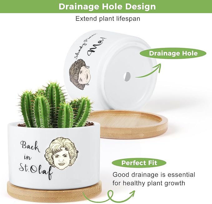 4 Pcs Golden Girls Merchandise Ceramic Plant Pots,Funny Golden Girls Gifts for Women,for House Plants Garden Planters Succulent Pots, with Drainage Holes and Saucer (White)