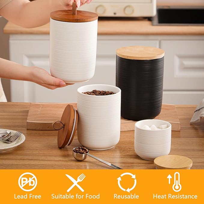 Food Storage Jar Strong Ceramic Storage Canisters with Airtight Wooden Lid,Kitchen Storage Containers for Serving Coffee Beans, Tea, Sugar, Salt, Spices (Little white 9 oz)