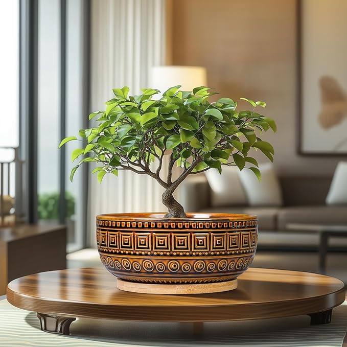 G EPGardening Bonsai Pots- 8 Inch Ceramic Succulent Planter with Drainage and Plant Saucer, Shallow Round Planter Bowl for Indoor Plants Flower, Boho Room Decor, Birthday Gifts, Brown