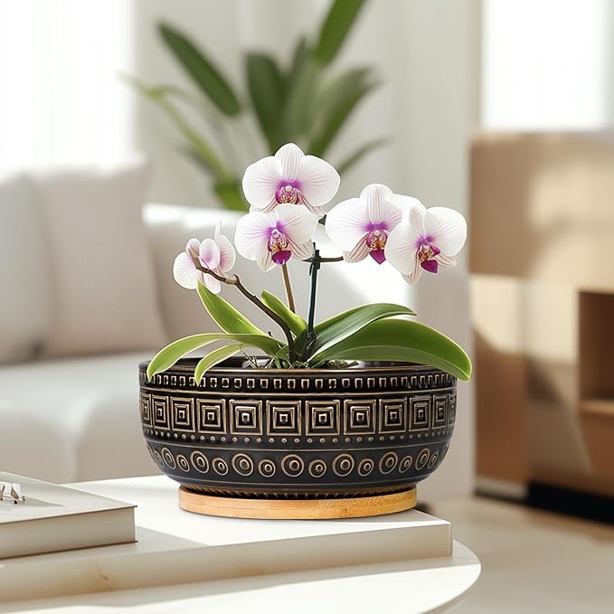 G EPGardening Bonsai Planter - 8 Inch Ceramic Succulent Pots with Drainage and Plant Saucer, Round Shallow Planter Bowl for Indoor Plants Flower, Boho Garden House Decor, Plant Lovers Gifts, Black