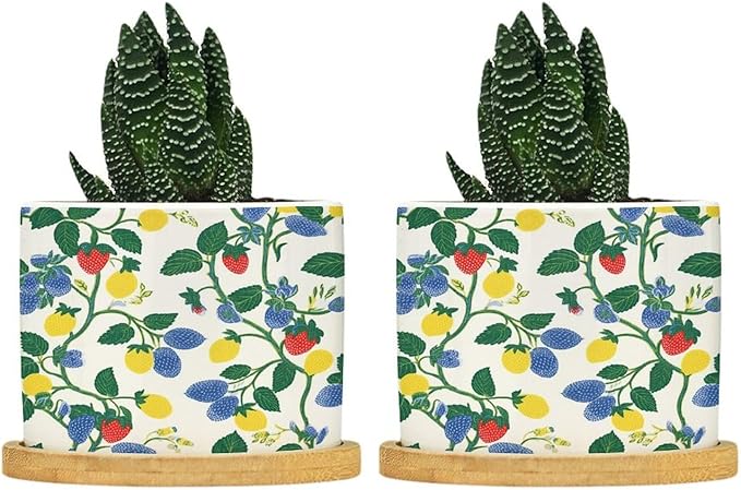 Summer Cherry Lemon Citrus Garden Planter Ceramic Strawberry Fruit Season Round Plant Pot with Drainage Holes and Bamboo Tray Pot for Indoor Outdoor Garden