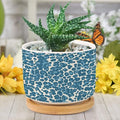 Leopard Blue and Beige Ceramic Planters African Tribal Animal Print Snake Plant Live Indoor with Pot with Drainage Holes and Saucers Pot for Succulents Cactus Garden Windowsill