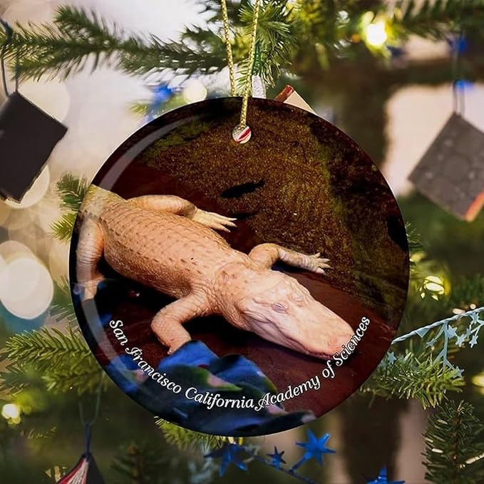 California San Francisco California Academy of Sciences USA America Christmas Ornaments for Tree Ceramic Pendant Double Sided Ornament Decor Xmas Gifts Porcelain Hanging Travel Souvenirs Birthday Gift