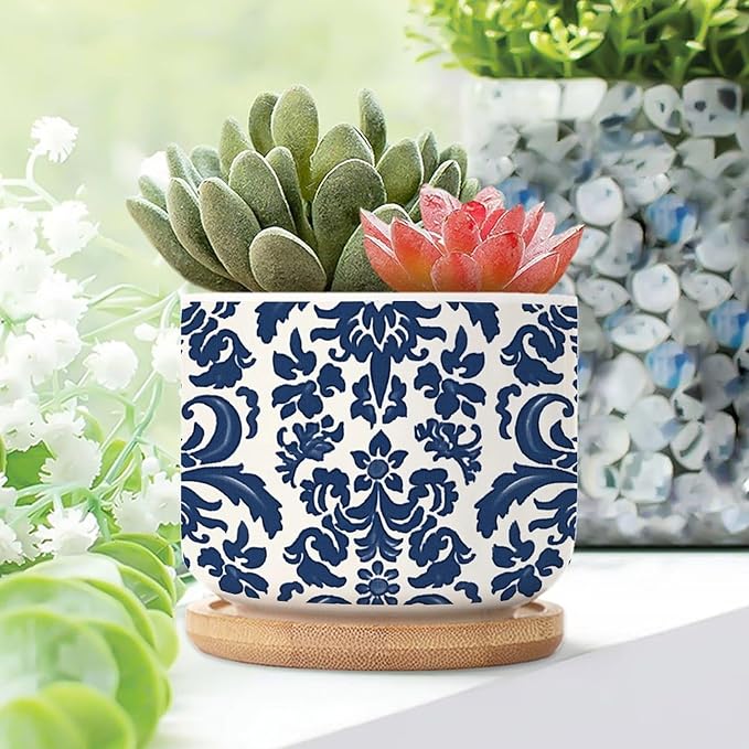 Blue Regalia Lion Ceramics Plant Pot Set of 3 Indigo Blue Flower Lion Asian Succulents Plants Live with Pot with Drainage Bamboo Trays Oriental Toile Chinoiserie Small Ceramics Planter