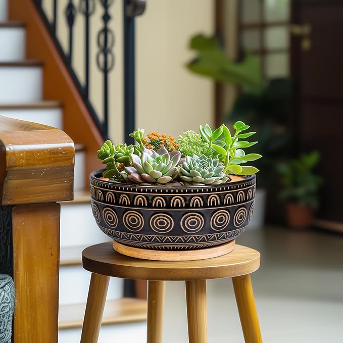 Ceramic Bonsai Pots - 8 Inch Plant Pot for Succulent, Round Planter for Indoor Plants, Shallow Planters with Drainage Hole and Tray, Boho Bonsai Bowl, Living Room Decor, Black