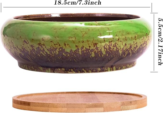 Succulent Pots - 2 PCS Large Bonsai Pots With Drainage Tray, 7.3 Inch Shallow Planters for Indoor Plants Ceramic Cactus Plant Container Bowl for Home Office Desk