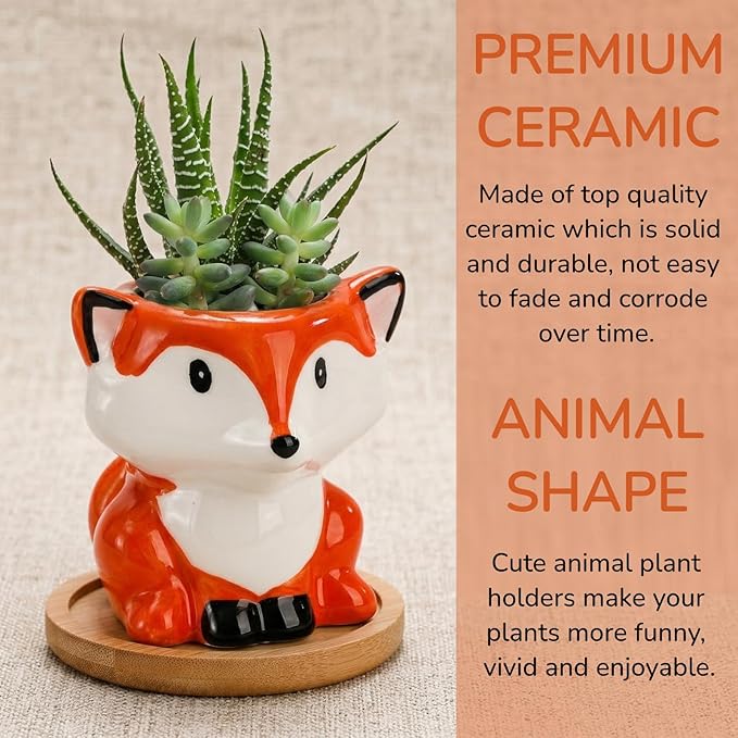 6 Pack Small Succulent Pots with Drainage Hole, 3 Inch Cute Ceramic Animal Planter with Saucer, Unique Air Plant Holder, Desktop Plant Flower Pot for Indoor Plants, Cactus, Garden, Home Decor