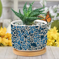 Leopard Blue and Light Brown Dot Ceramic Planter African Tribal Animal Print Snake Plant Live Indoor with Pot with Drainage Holes and Saucers Pot for Home Desktop Office Windowsill