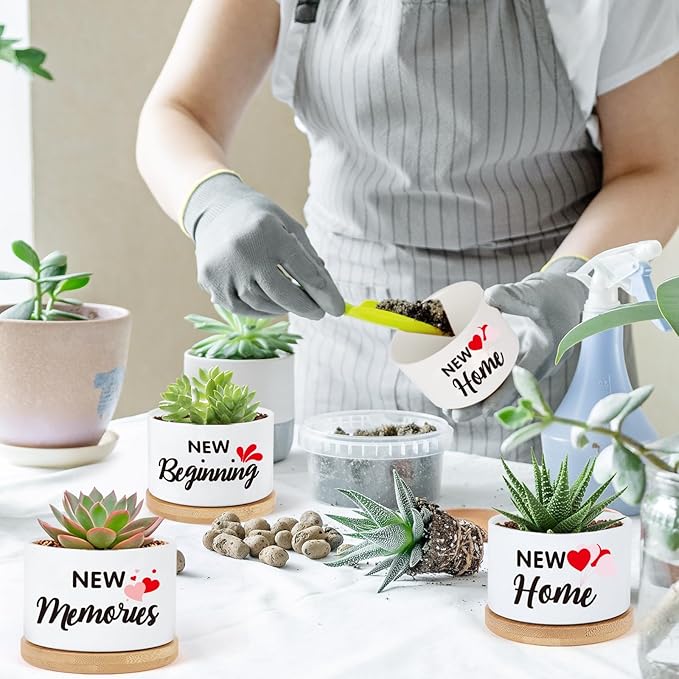 Housewarming Gifts New Home,Funny Ceramic Plant Pots Gifts for New Home for Women Men Neighbor Homeowner, Indoor Plants Garden Planters Succulent Pots(No Plants)(Newhome)