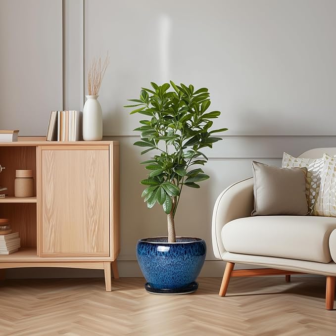 10 Inch Plant Pot - Ceramic Planter with Drainage Hole and Plant Saucer, Round Planter Indoor Outdoor, Modern Planters, Large Flower Pot, Home Room Office Decor, Housewarming Gifts, Blue