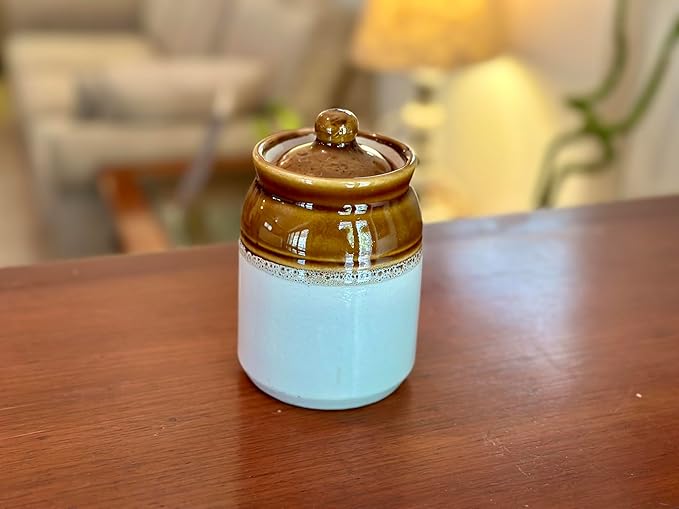 Decorative Ceramic Jar With Lid For Kitchen Pantry Countertop Home Dining Table Accessories Condiment Pickle Spice Coffee Tea Caddy Sugar Salt Herbs Food Storage Canister Holder Hand Painted