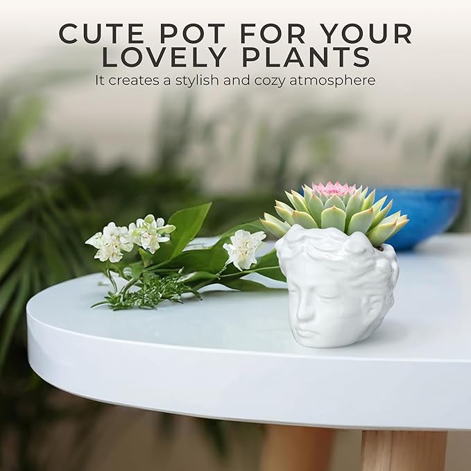 Small Head Planter - Ceramic Face Planter Pots for Indoor Plants, Cute Funny Succulent Pot with Drainage Hole, Unique Gift, 3.9"