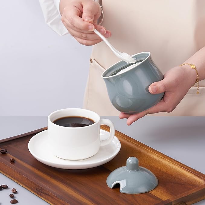 Ceramic Sugar Bowl with Lid and Spoon, Gray Porcelain Sugar Salt Pepper Storage Jar, 12 Ounces