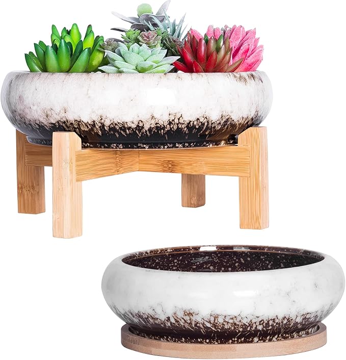 ARTKETTY Succulent Pots with Drainage, Large Succulent Planter with Stand and Saucer Shallow Bonsai Pots Ceramic Cactus Flower Planter Pot for Indoor Plants (7.3 and 10'')
