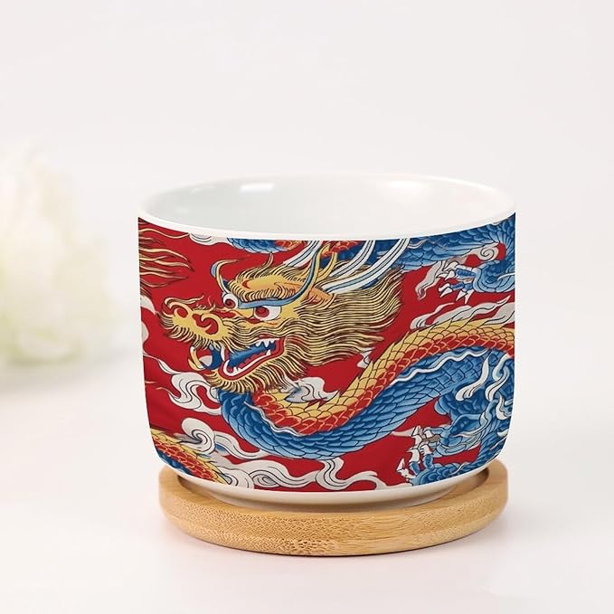 5 Piece Red and Auqa Dragon Small Succulents Plant Pot Oriental Chinoiserie Houseplant Pot for Cactus with Drainage Holes Chinoiserie Dragon Ceramics Planters for Indoor Plants
