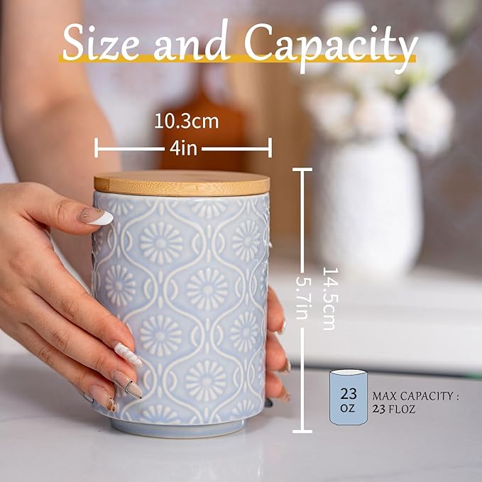 TEATALK Ceramic Canister with Airtight Lid, Perfect for Coffee, Sugar, Tea Storage, 23 Fl Oz, Light Blue