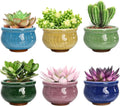 Okllen Set of 6 Small Succulent Pots, Ceramic Succulent Planters Stylish Crackle Glaze Design with Drainage Holes for Indoor/Outdoor Small Plants, Plants Not Included