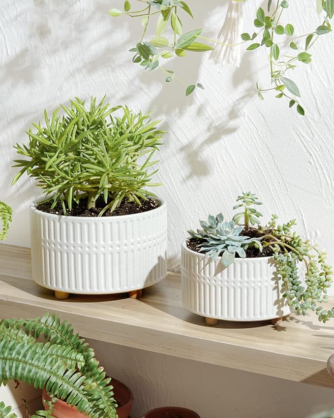 LE TAUCI Succulent Pots, 6.5+8 Inch Ceramic Indoor Plant Pot with Drainage Hole, Shallow Round Succulent Planters, Set of 2, Matte White
