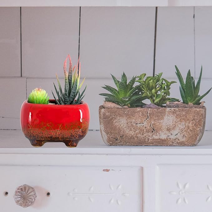 ARTKETTY Succulent Pots - Small Succulent Plant Pots with Drainage Set of 6, Ceramic Cactus Planter Pots for Indoor Unique Flower Planter Container for Home Office Decor