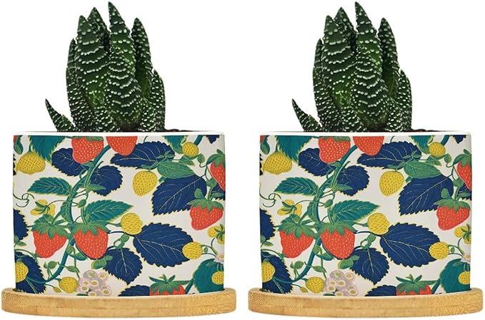 Summer Cherry Lemon Citrus Garden Ceramic Planters Strawberry Fruit Season Planters for Indoor Plants with Drainage Holes and Saucers Pot for Home Desktop Office Windowsill