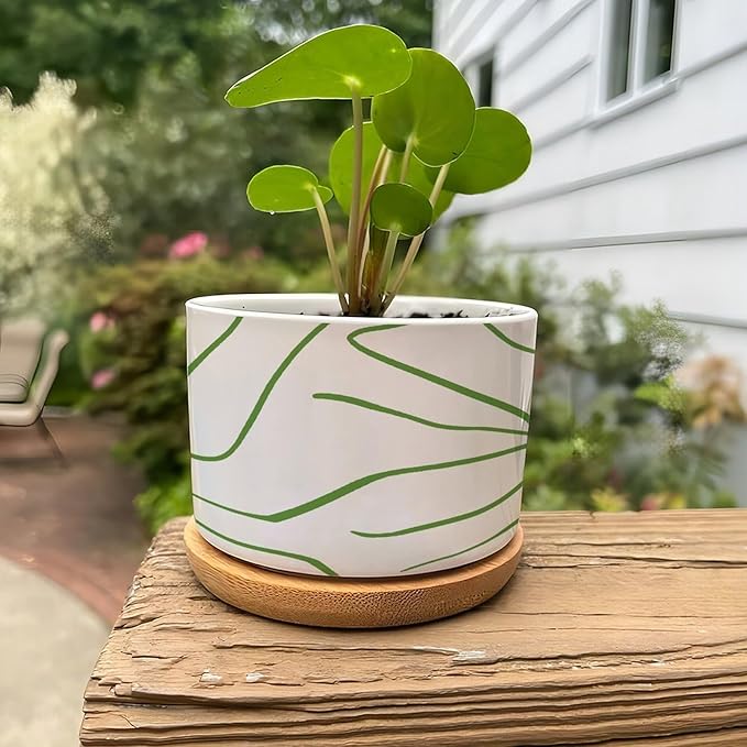 African Zebra Stripe Print Planter Ceramic Boho Geometric Green and Light Gray Round Plant Pots with Drainage Holes and Bamboo Tray Pot for Succulents Cactus Garden Windowsill