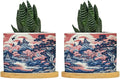 Pink Blue Chinoiserie Planter Ceramic Coral Chinoiserie Chic Asian Round Plant Pots with Drainage Holes and Bamboo Tray Pot for Home Desktop Office Windowsill