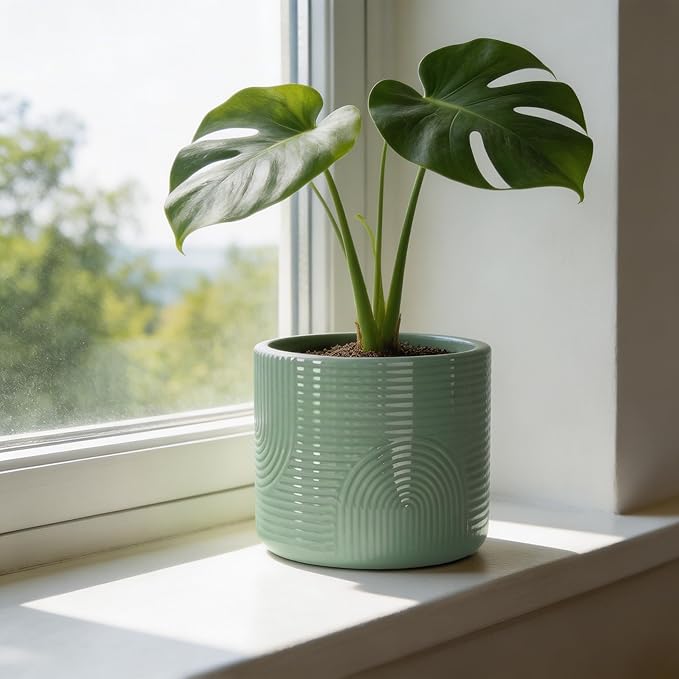 6 Inch Ceramic Plant Pot – Decorative Indoor Planter (No Drainage Hole) for Succulents, Herbs & Houseplants – Modern Tabletop Desk Planter – Sage Green