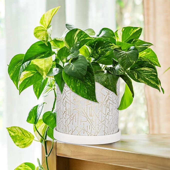 Ceramic Plant Pots with Drainage Hole & Saucer, Gold & White Ceramic Planter Pot for Indoor & Outdoor, 5.5" Small Plant Pots Decorative Flower Pot for Succulents, Herbs, Cactus, Orchids Planter