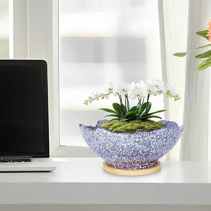ARTKETTY Bonsai Pots - 9.06'' Ceramic Pots for Indoor Plants, Large Succulent Pots with Drainage Bamboo Tray, Unique Bonsai Tree Planters Round Cactus Flower Plant Container Bowl Home Office Decor
