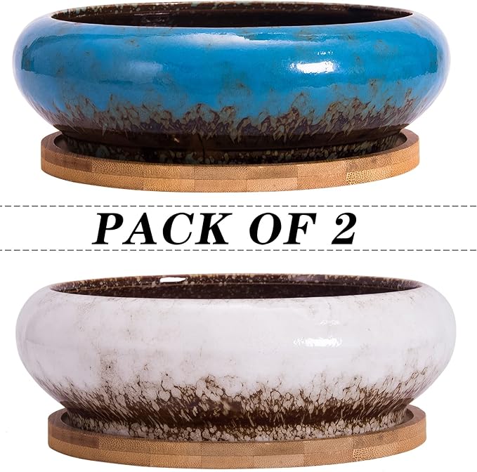 Succulent Pots - Large Succulent Planters with Drainage, 7.3 Inch Ceramic Bonsai Pots with Bamboo Tray Set of 2, Shallow Cactus Flower Planter Bowl for Indoor