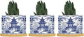Chinoiserie Blue Asian Ceramic Planters Chinoiserie Chic Asian Snake Plant Live Indoor with Pot with Drainage Holes and Saucers Pot for Home Desktop Office Windowsill