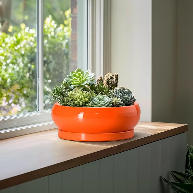 Bonsai Pots - 13 Inch Ceramic Succulent Pots with Drainage Hole and Saucer, Shallow Planter for Indoor Outdoor, Bonsai Planters, Large Planter Bowl, Porch Decor, Gift for Plant Lover, Orange