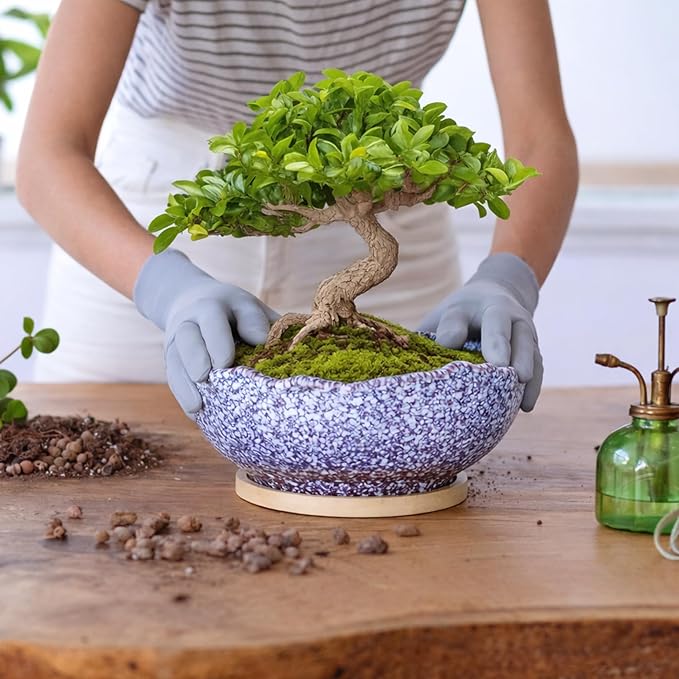 ARTKETTY Bonsai Pots - 9.06'' Ceramic Pots for Indoor Plants, Large Succulent Pots with Drainage Bamboo Tray, Unique Bonsai Tree Planters Round Cactus Flower Plant Container Bowl Home Office Decor
