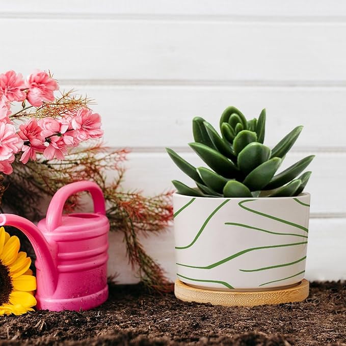African Zebra Stripe Print Planter Ceramic Boho Geometric Green and Light Gray Round Plant Pots with Drainage Holes and Bamboo Tray Pot for Succulents Cactus Garden Windowsill